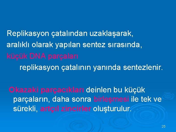 Replikasyon çatalından uzaklaşarak, aralıklı olarak yapılan sentez sırasında, küçük DNA parçaları replikasyon çatalının yanında