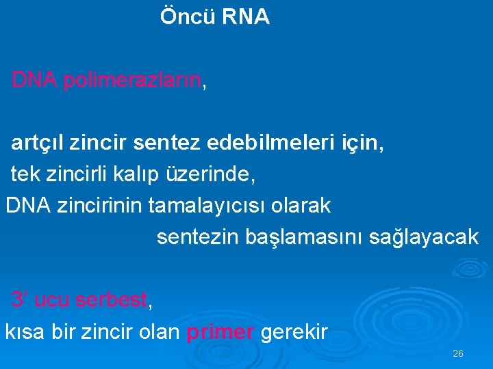  Öncü RNA DNA polimerazların, artçıl zincir sentez edebilmeleri için, tek zincirli kalıp üzerinde,