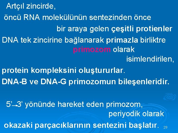  Artçıl zincirde, öncü RNA molekülünün sentezinden önce bir araya gelen çeşitli protienler DNA