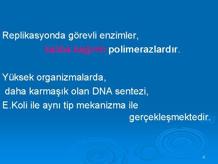 Replikasyonda görevli enzimler, kalıba bağımlı polimerazlardır. Yüksek organizmalarda, daha karmaşık olan DNA sentezi, E.