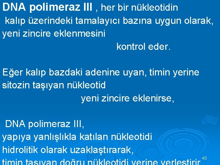 DNA polimeraz III , her bir nükleotidin kalıp üzerindeki tamalayıcı bazına uygun olarak, yeni