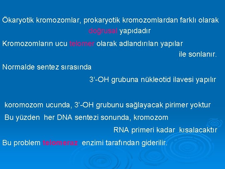 Ökaryotik kromozomlar, prokaryotik kromozomlardan farklı olarak doğrusal yapıdadır Kromozomların ucu telomer olarak adlandırılan yapılar
