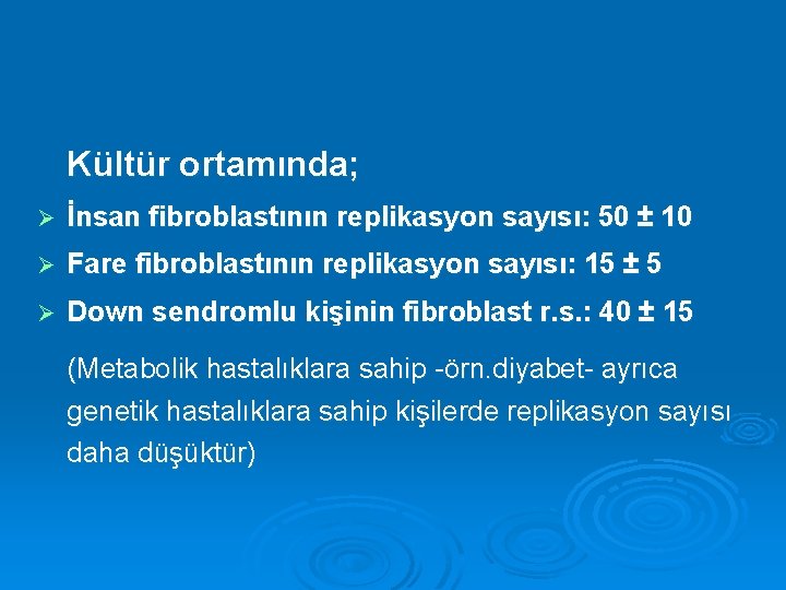 Kültür ortamında; Ø İnsan fibroblastının replikasyon sayısı: 50 ± 10 Ø Fare fibroblastının replikasyon