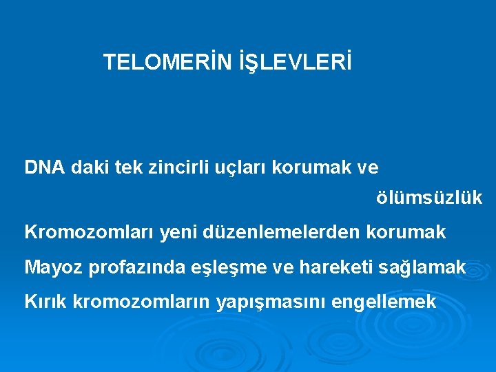 TELOMERİN İŞLEVLERİ DNA daki tek zincirli uçları korumak ve ölümsüzlük Kromozomları yeni düzenlemelerden korumak