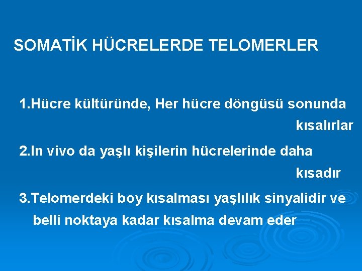 SOMATİK HÜCRELERDE TELOMERLER 1. Hücre kültüründe, Her hücre döngüsü sonunda kısalırlar 2. In vivo