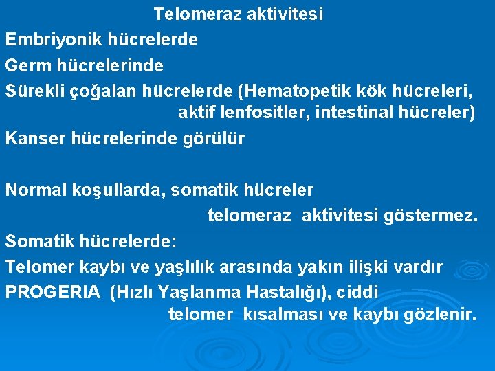  Telomeraz aktivitesi Embriyonik hücrelerde Germ hücrelerinde Sürekli çoğalan hücrelerde (Hematopetik kök hücreleri, aktif