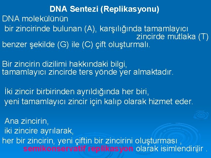 DNA Sentezi (Replikasyonu) DNA molekülünün bir zincirinde bulunan (A), karşılığında tamamlayıcı zincirde mutlaka (T)
