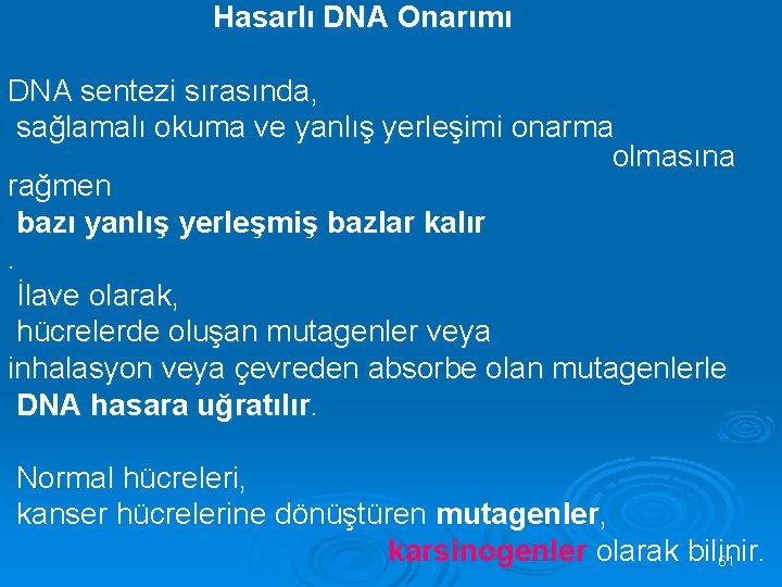  Hasarlı DNA Onarımı DNA sentezi sırasında, sağlamalı okuma ve yanlış yerleşimi onarma olmasına