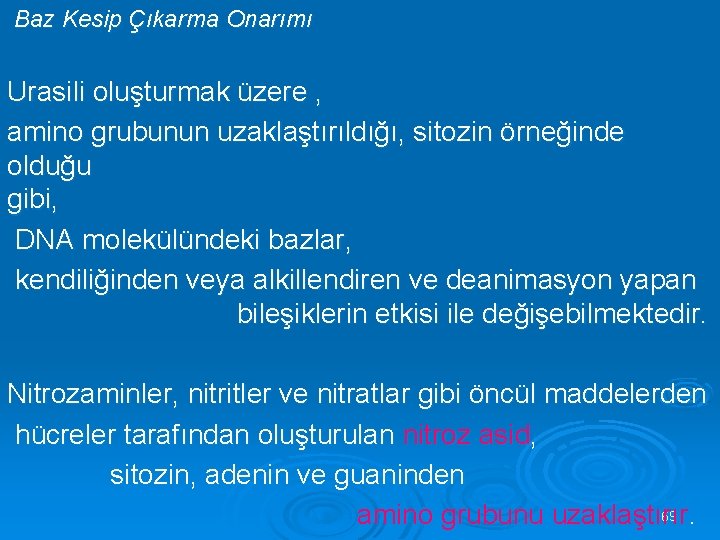 Baz Kesip Çıkarma Onarımı Urasili oluşturmak üzere , amino grubunun uzaklaştırıldığı, sitozin örneğinde olduğu
