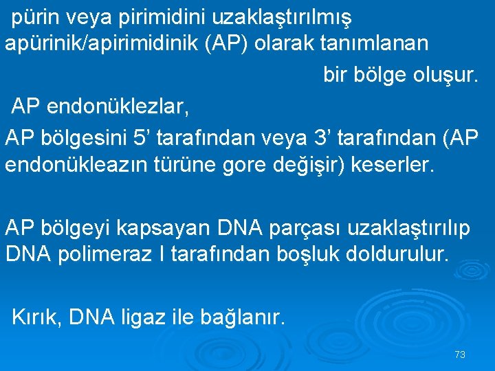  pürin veya pirimidini uzaklaştırılmış apürinik/apirimidinik (AP) olarak tanımlanan bir bölge oluşur. AP endonüklezlar,