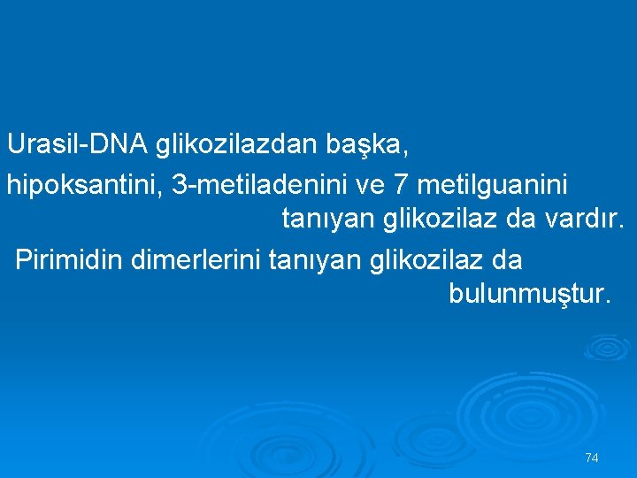 Urasil-DNA glikozilazdan başka, hipoksantini, 3 -metiladenini ve 7 metilguanini tanıyan glikozilaz da vardır. Pirimidin