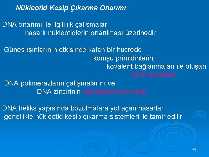 Nükleotid Kesip Çıkarma Onarımı DNA onarımı ile ilgili ilk çalışmalar, hasarlı nükleotidlerin onarılması üzerinedir.