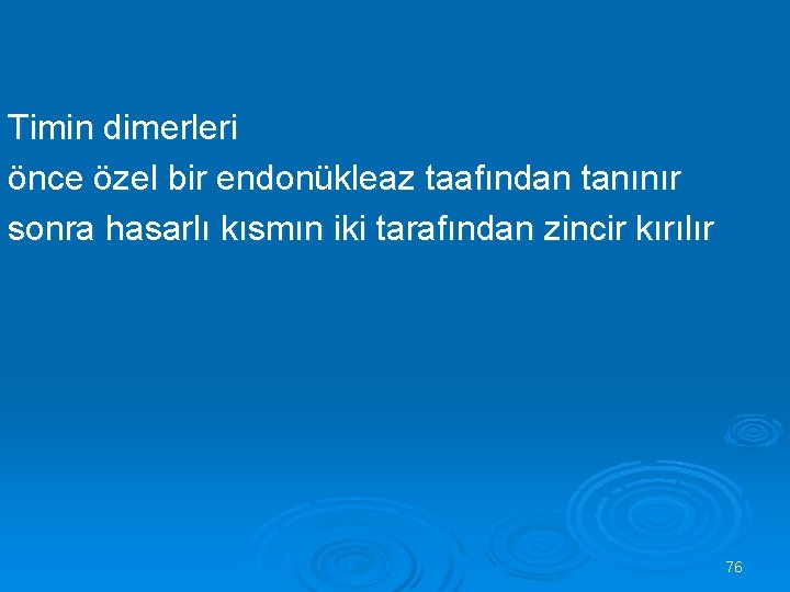 Timin dimerleri önce özel bir endonükleaz taafından tanınır sonra hasarlı kısmın iki tarafından zincir