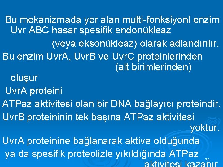  Bu mekanizmada yer alan multi-fonksiyonl enzim Uvr ABC hasar spesifik endonükleaz (veya eksonükleaz)