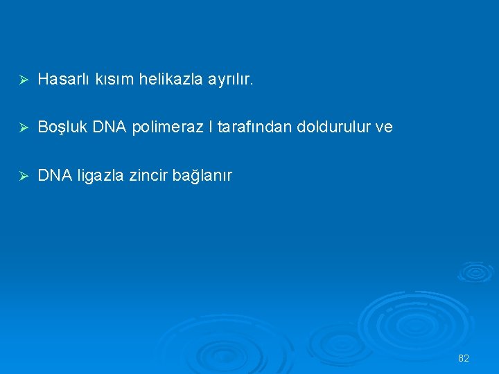 Ø Hasarlı kısım helikazla ayrılır. Ø Boşluk DNA polimeraz I tarafından doldurulur ve Ø