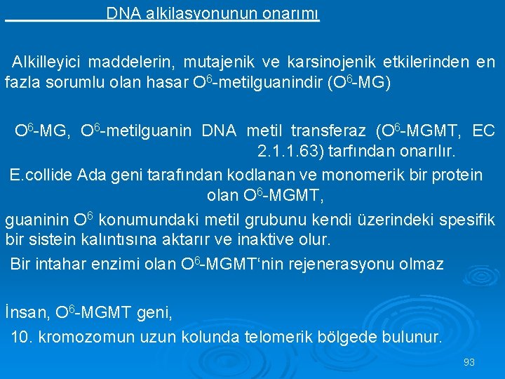 DNA alkilasyonunun onarımı Alkilleyici maddelerin, mutajenik ve karsinojenik etkilerinden en fazla sorumlu olan hasar