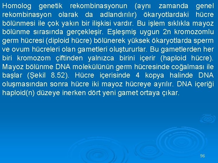 Homolog genetik rekombinasyonun (aynı zamanda genel rekombinasyon olarak da adlandırılır) ökaryotlardaki hücre bölünmesi ile