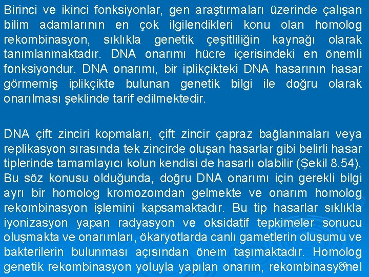 Birinci ve ikinci fonksiyonlar, gen araştırmaları üzerinde çalışan bilim adamlarının en çok ilgilendikleri konu