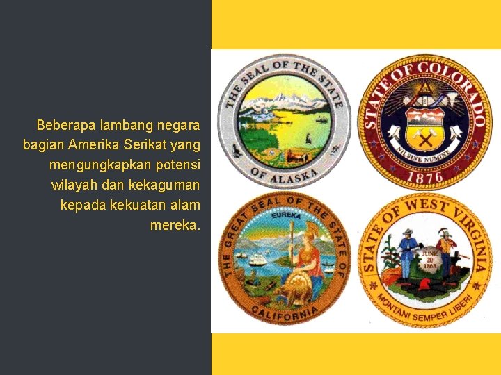 Beberapa lambang negara bagian Amerika Serikat yang mengungkapkan potensi wilayah dan kekaguman kepada kekuatan