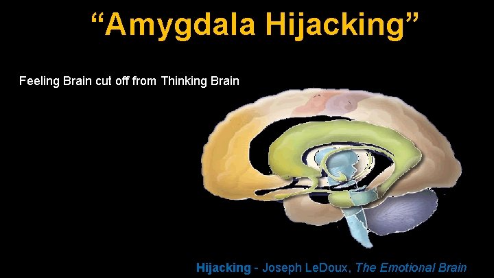 “Amygdala Hijacking” Feeling Brain cut off from Thinking Brain Hijacking - Joseph Le. Doux,