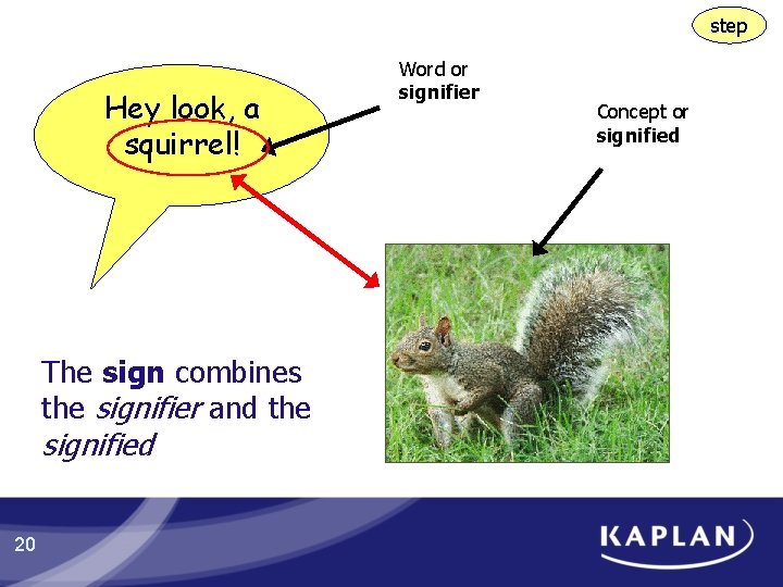 step Hey look, a squirrel! The sign combines the signifier and the signified 20 step Hey look, a squirrel! The sign combines the signifier and the signified 20
