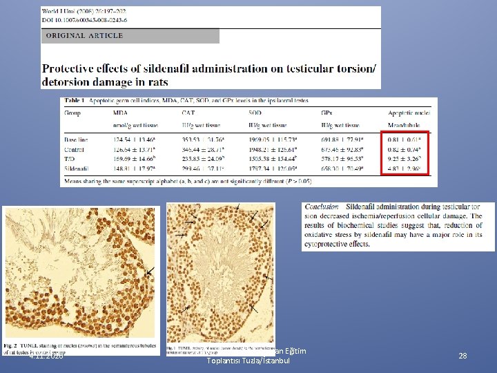 4. 11. 2020 30 May- 1 Haz 2014 Asistan Eğitim Toplantısı Tuzla/İstanbul 28 4. 11. 2020 30 May- 1 Haz 2014 Asistan Eğitim Toplantısı Tuzla/İstanbul 28