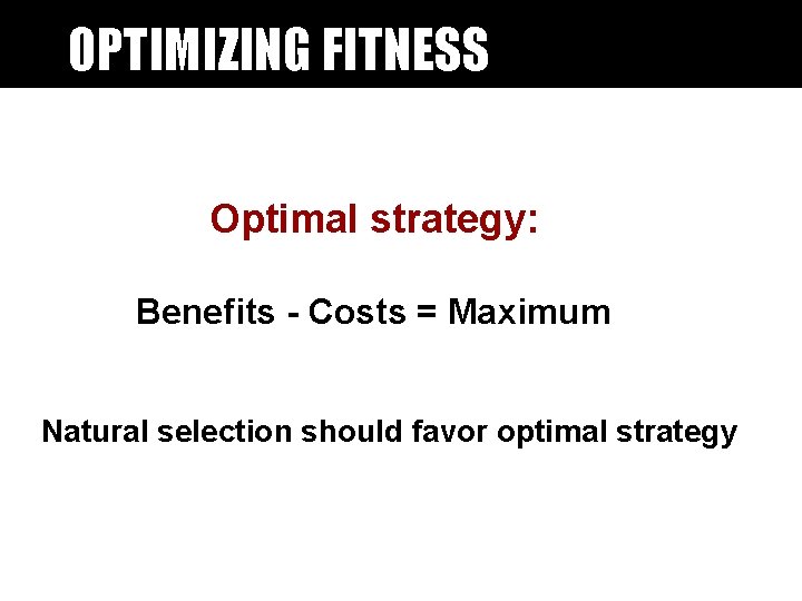 OPTIMIZING FITNESS Optimal strategy: Benefits - Costs = Maximum Natural selection should favor optimal OPTIMIZING FITNESS Optimal strategy: Benefits - Costs = Maximum Natural selection should favor optimal