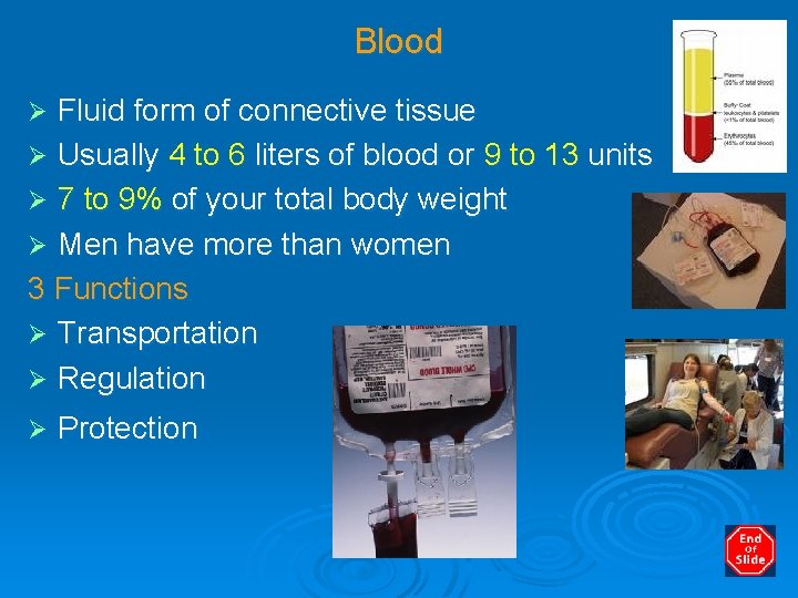 Blood Fluid form of connective tissue Ø Usually 4 to 6 liters of blood