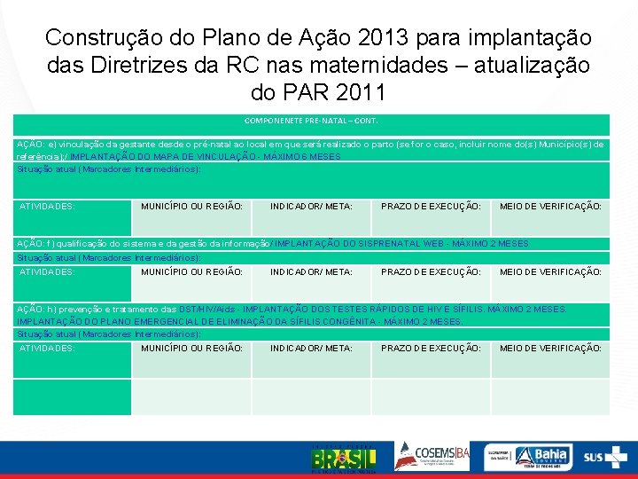 Construção do Plano de Ação 2013 para implantação das Diretrizes da RC nas maternidades