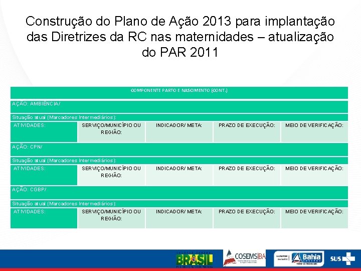 Construção do Plano de Ação 2013 para implantação das Diretrizes da RC nas maternidades