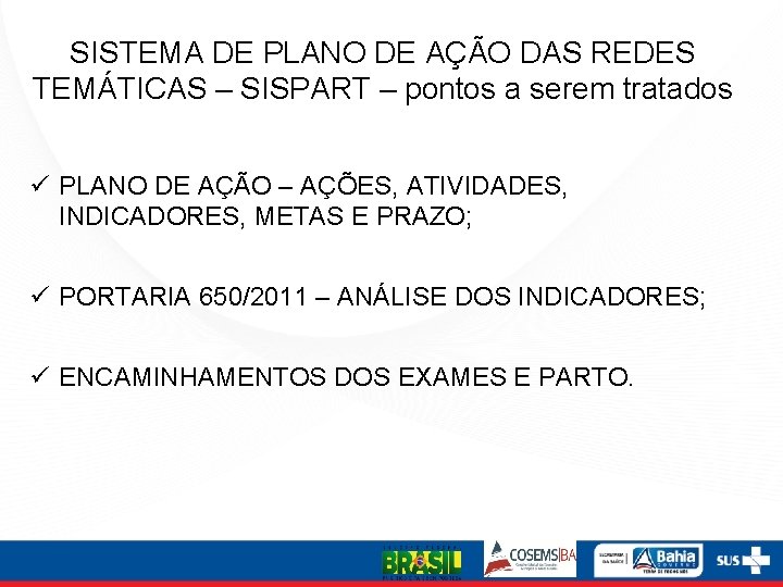 SISTEMA DE PLANO DE AÇÃO DAS REDES TEMÁTICAS – SISPART – pontos a serem