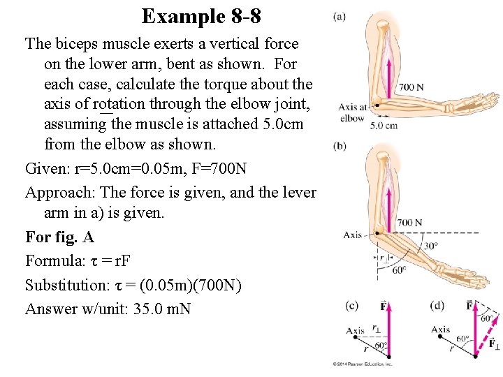 Example 8 -8 The biceps muscle exerts a vertical force on the lower arm,