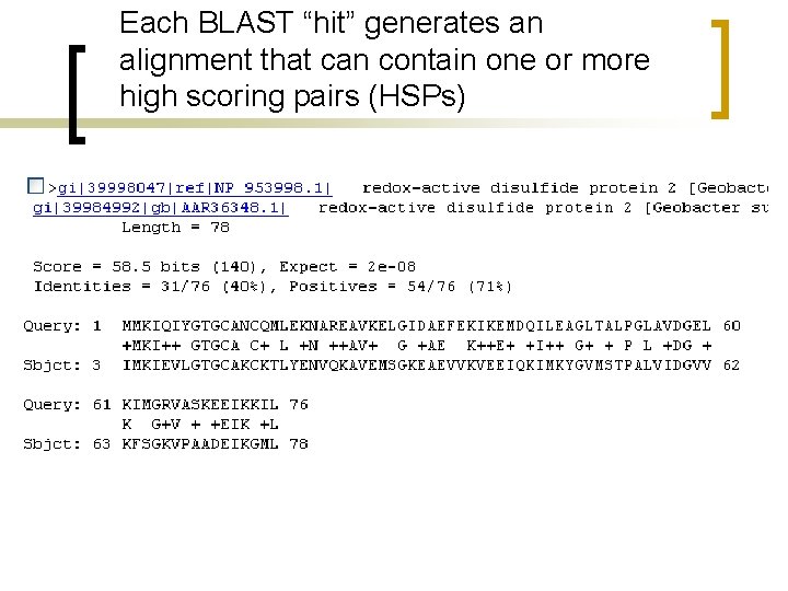 Each BLAST “hit” generates an alignment that can contain one or more high scoring