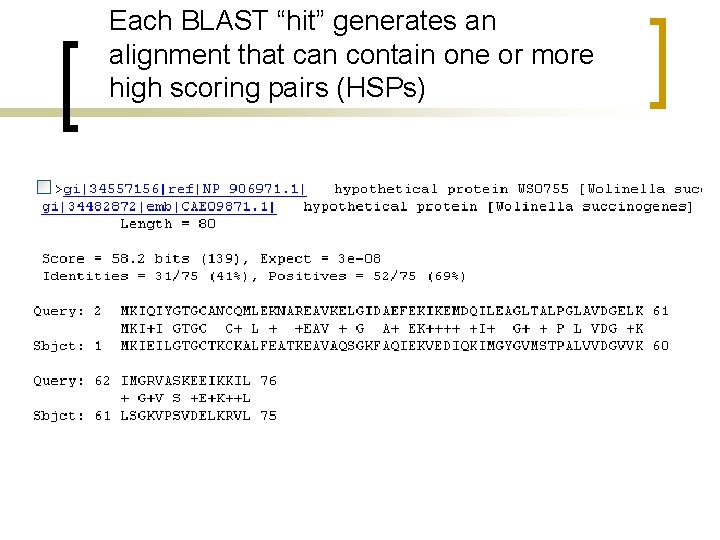 Each BLAST “hit” generates an alignment that can contain one or more high scoring