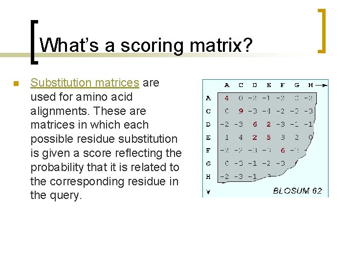 What’s a scoring matrix? n Substitution matrices are used for amino acid alignments. These