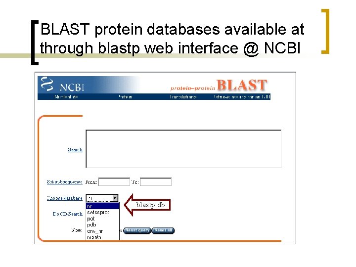BLAST protein databases available at through blastp web interface @ NCBI blastp db 