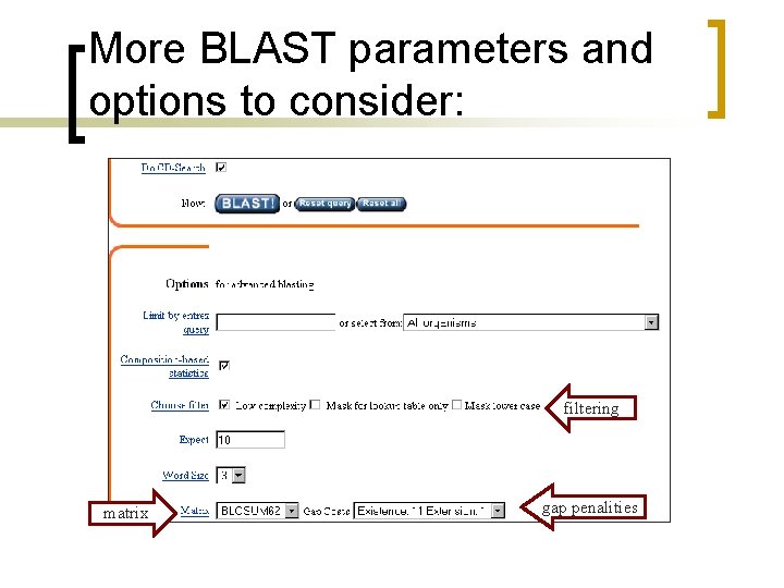 More BLAST parameters and options to consider: filtering matrix gap penalities 