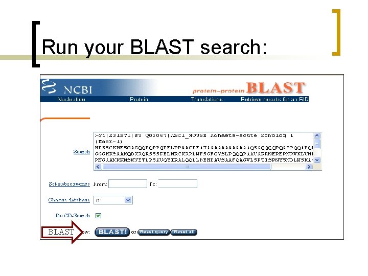 Run your BLAST search: BLAST 