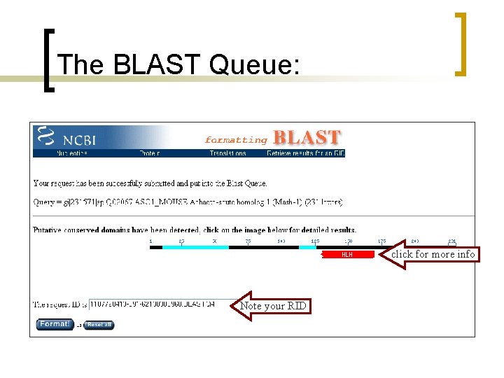 The BLAST Queue: click for more info Note your RID 