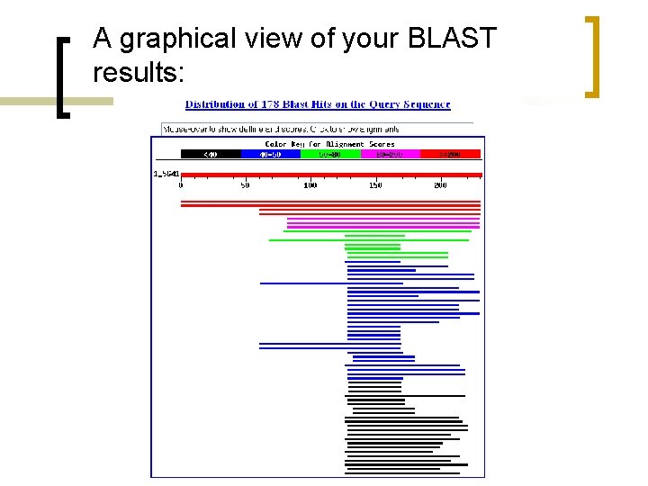 A graphical view of your BLAST results: 