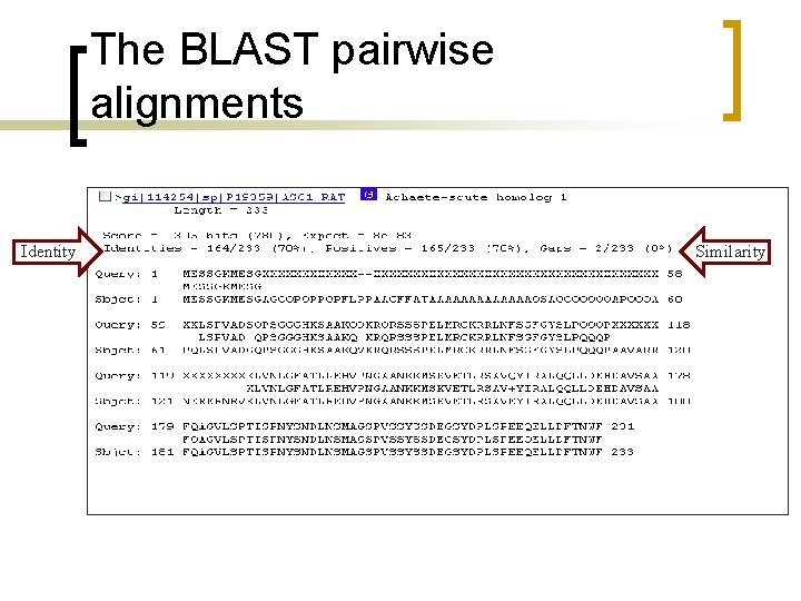 The BLAST pairwise alignments Identity Similarity 