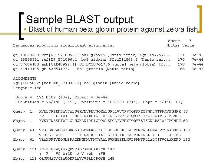 Sample BLAST output • Blast of human beta globin protein against zebra fish Sequences