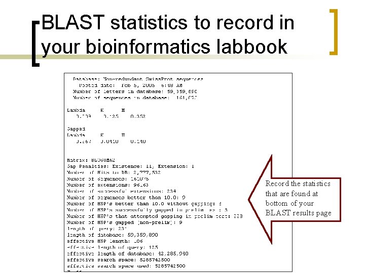 BLAST statistics to record in your bioinformatics labbook Record the statistics that are found