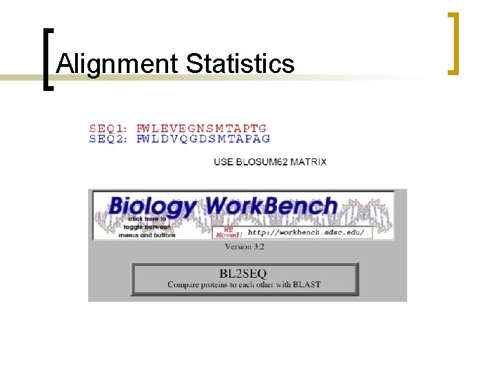 Alignment Statistics 