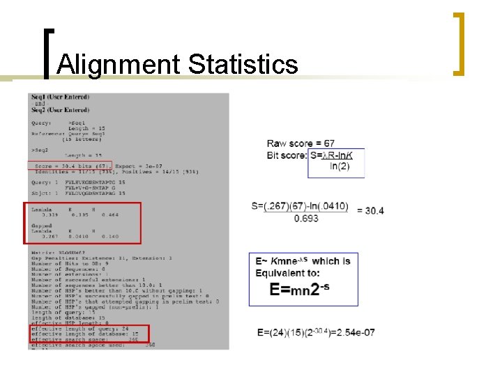 Alignment Statistics 