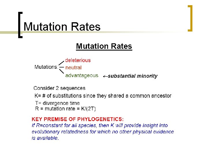 Mutation Rates 