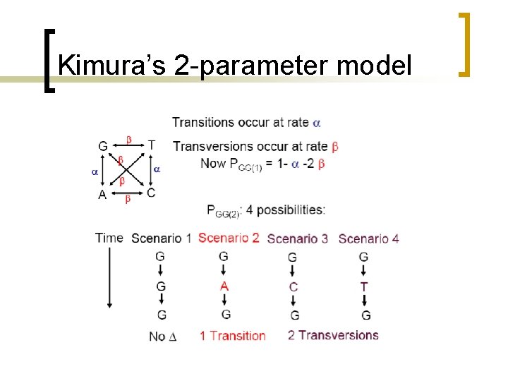 Kimura’s 2 -parameter model 