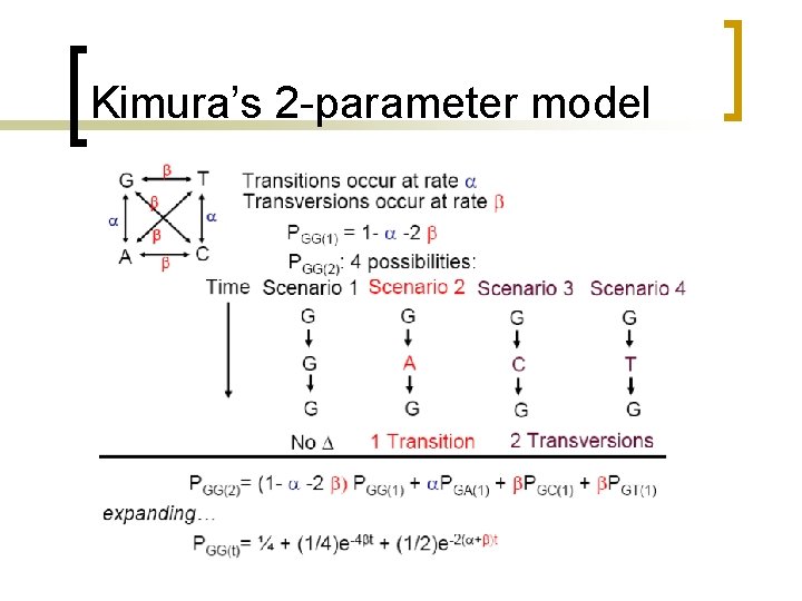 Kimura’s 2 -parameter model 