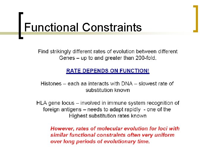 Functional Constraints 