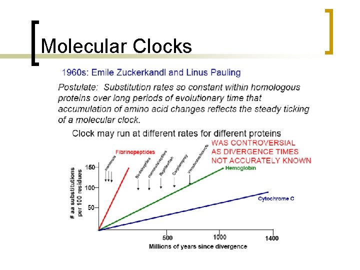 Molecular Clocks 